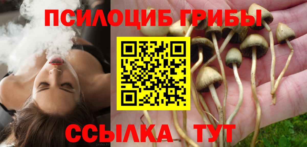 Псилоцибиновые грибы прущие грибы Зима