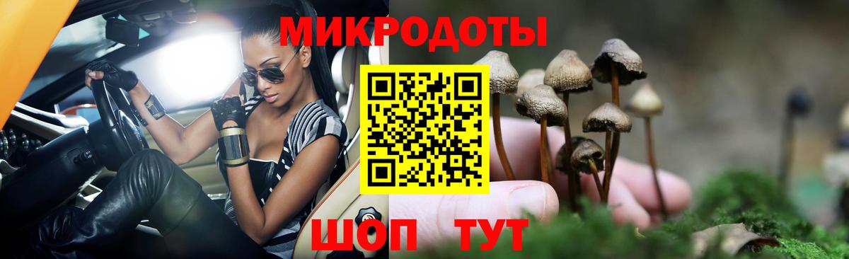 Галлюциногенные грибы Psilocybe  даркнет сайт  Зима 